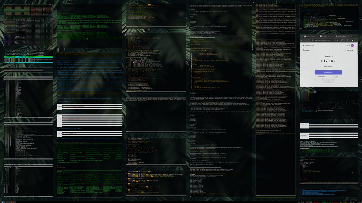 Tom Dörr tweet media