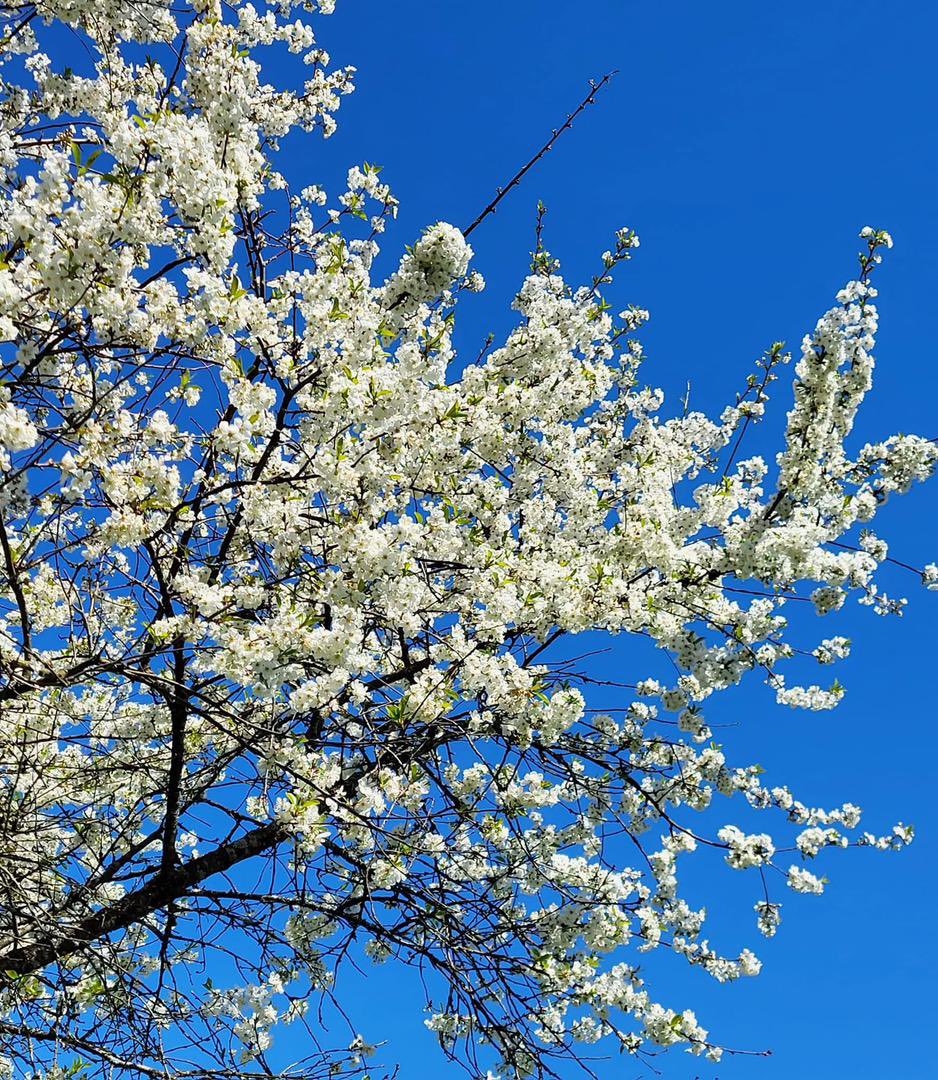 おはようございます、愛しい人！素晴らしい一日をお過ごしください。ハグとキスを送ります！