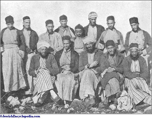 Naqad Studies tweet media