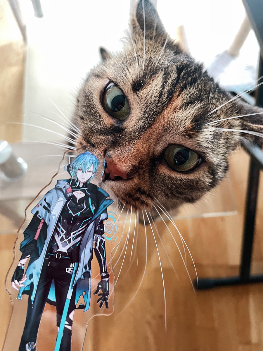 tsumaruki's tweet image. Sniffa test passed successfully!
#cyberwares