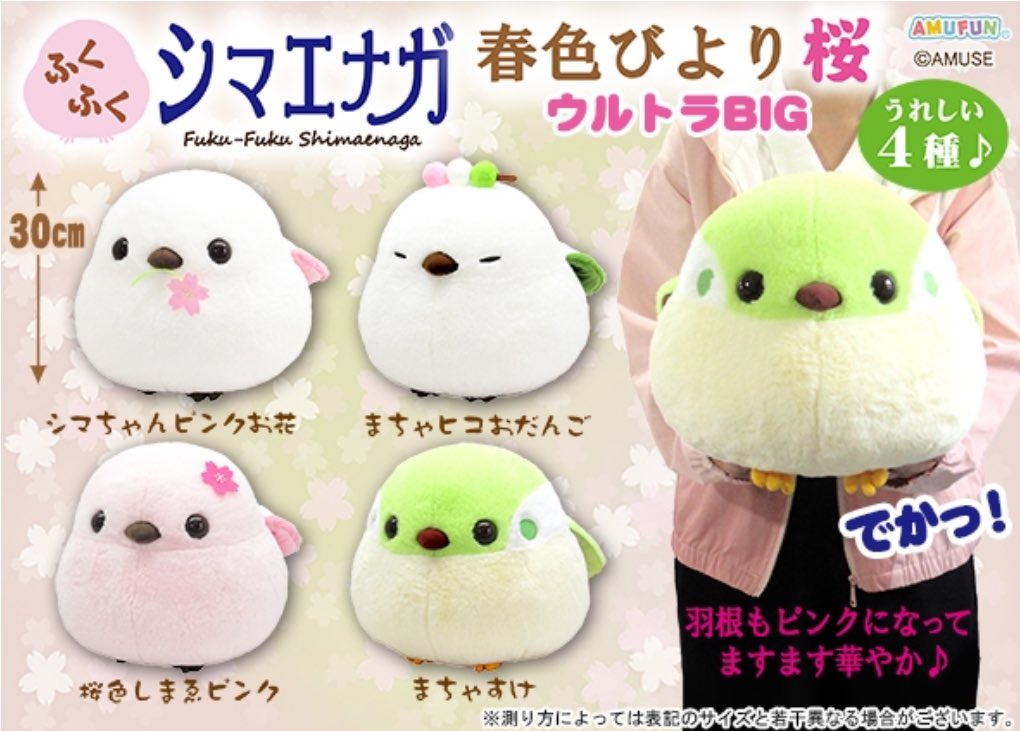 大きなサイズも到着☘️ 【 ふくふくシマエナガ 春色びより桜