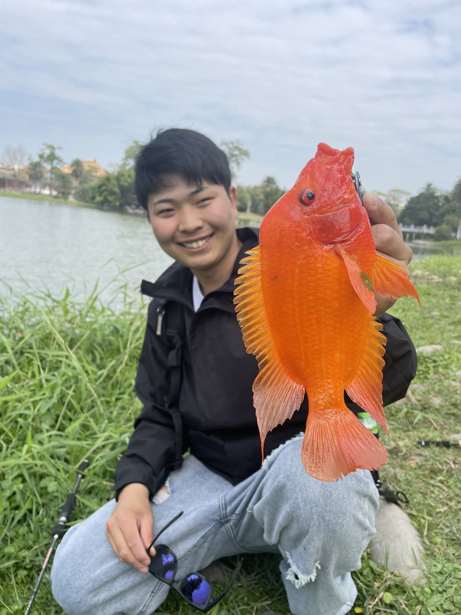 khbassfs's tweet photo. 台湾🇹🇼

赤いブルーギルみたいな
奴の名は"レッドデビル"👿
以外と前歯が鋭い！！

この魚が釣れたのもwobble shad 2"！！！

#台湾 #🇹🇼 #高雄 #蓮池潭  #蓮池潭釣魚  #レッドデビル #ウォブルシャッド  #NOIKEマーケティング https://t.co/QYHU4N5RLf