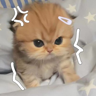 a_tinfs's tweet photo. #NewProfilePic as kuting na urat sa bashers https://t.co/HdvogM7Dd1