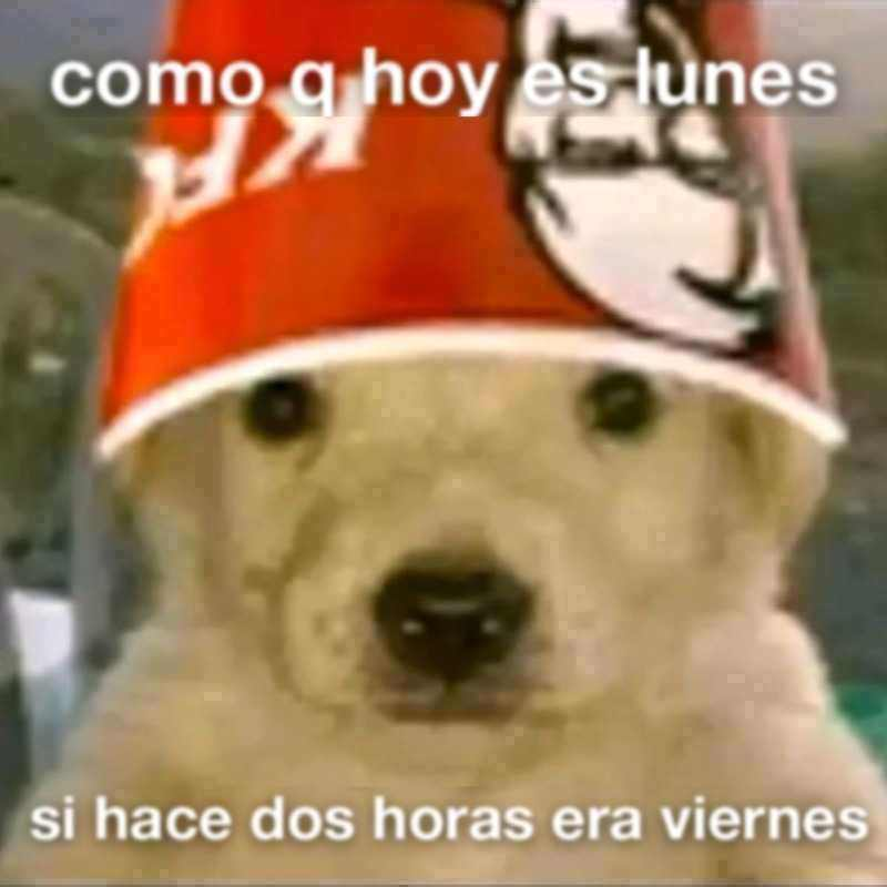 KFC_ES's tweet photo. día jodido https://t.co/TF2yS6yEI4