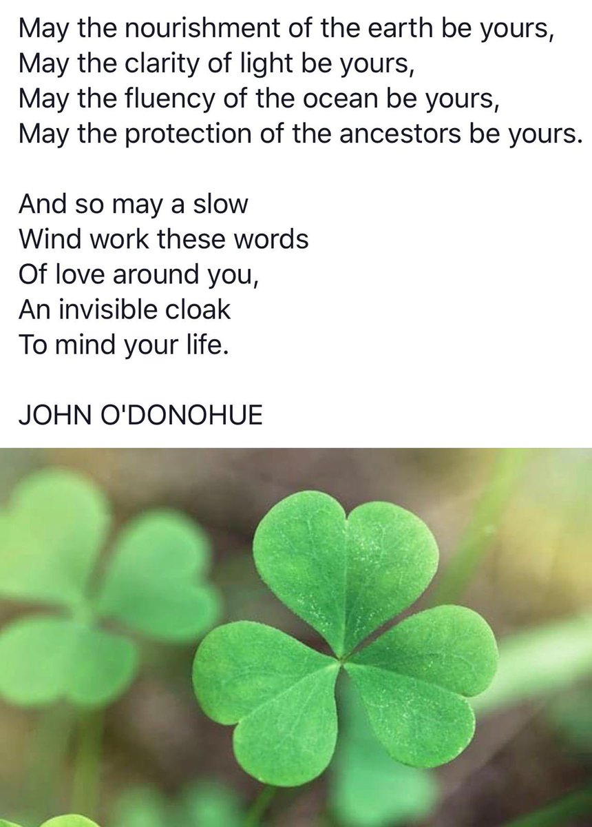 Happy Lá Fhéile Padraig to our entire Le Chéile community, today we celebrate being Irish and the wonderful community we belong to.