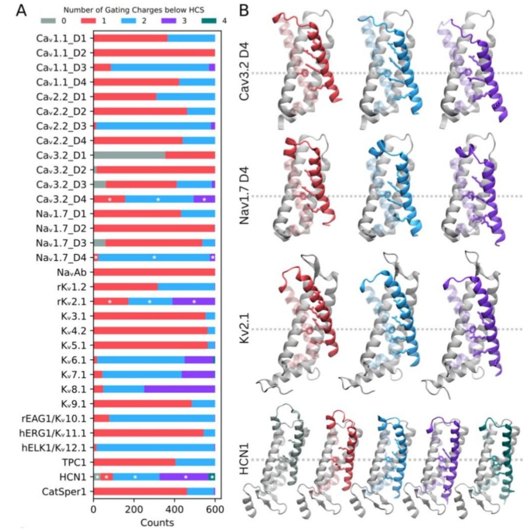 Corry Lab (@corrylab) on Twitter photo Also bittersweet to announce the final work of <a href="/whoiselainetao/">Elaine Tao</a> in our lab, using AF2 to study conformational transitions in 32 voltage-gated channel superfamily members 🤩 we're so excited to watch you Nav-igate the next steps of your career, Dr. Tao 🎩
tiny.cc/VSD-AF2 Also bittersweet to announce the final work of <a href="/whoiselainetao/">Elaine Tao</a> in our lab, using AF2 to study conformational transitions in 32 voltage-gated channel superfamily members 🤩 we're so excited to watch you Nav-igate the next steps of your career, Dr. Tao 🎩
tiny.cc/VSD-AF2