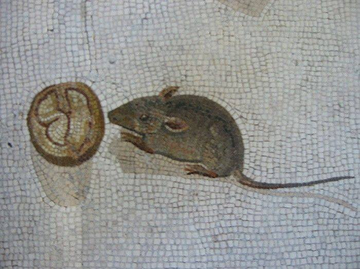 Mosaico romano de un raton comiendose una nuez

📍 Museo del Vaticano