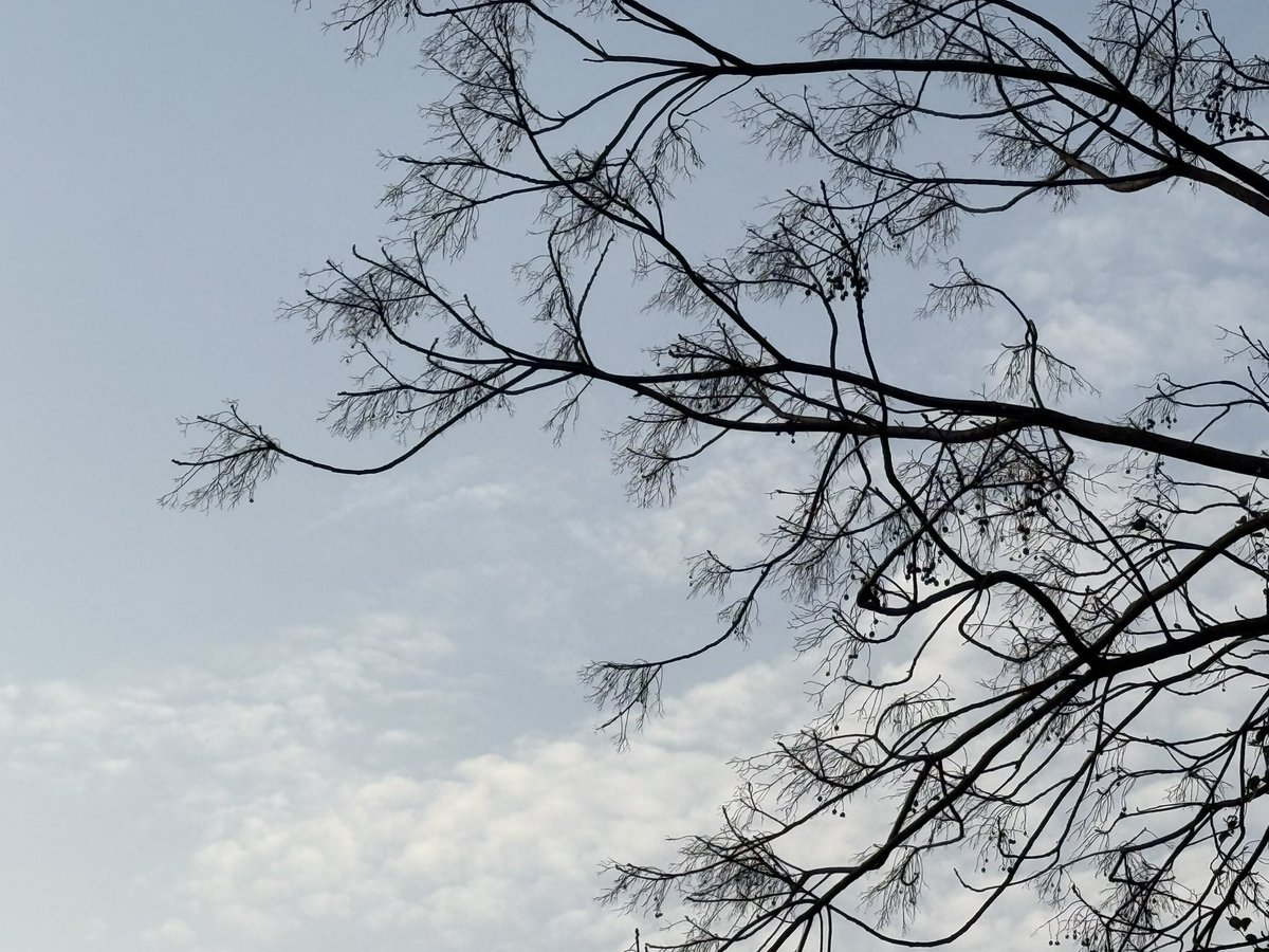 黄推福利内容 - 粥粥的精彩图片 福利姬粥粥分享的黄推图片2 - 网红私拍内容