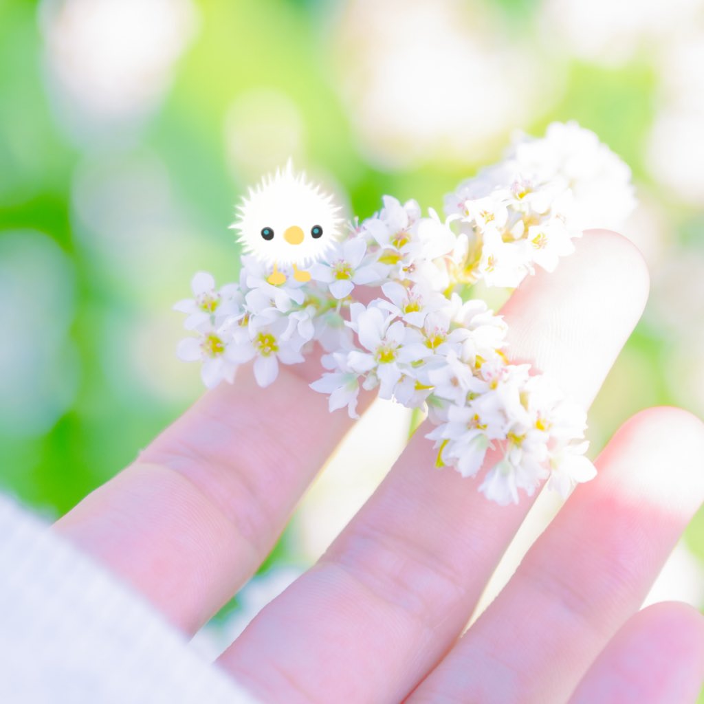織@うまれたてのごりらはしばらくお休み。 tweet media