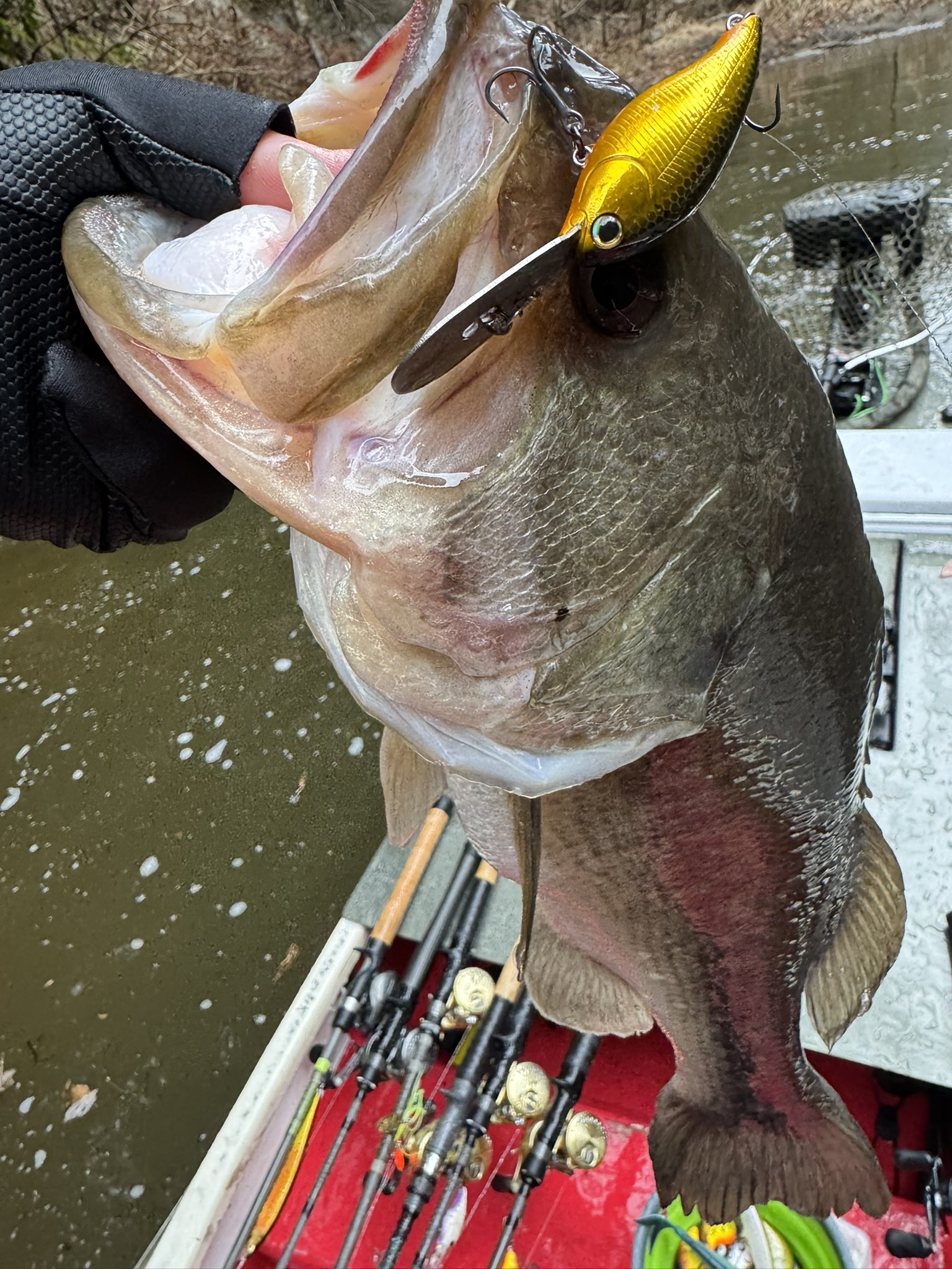 Ryo Sakurai【MPB LURES】【GRAVEL】 (@mpb_lures) / X