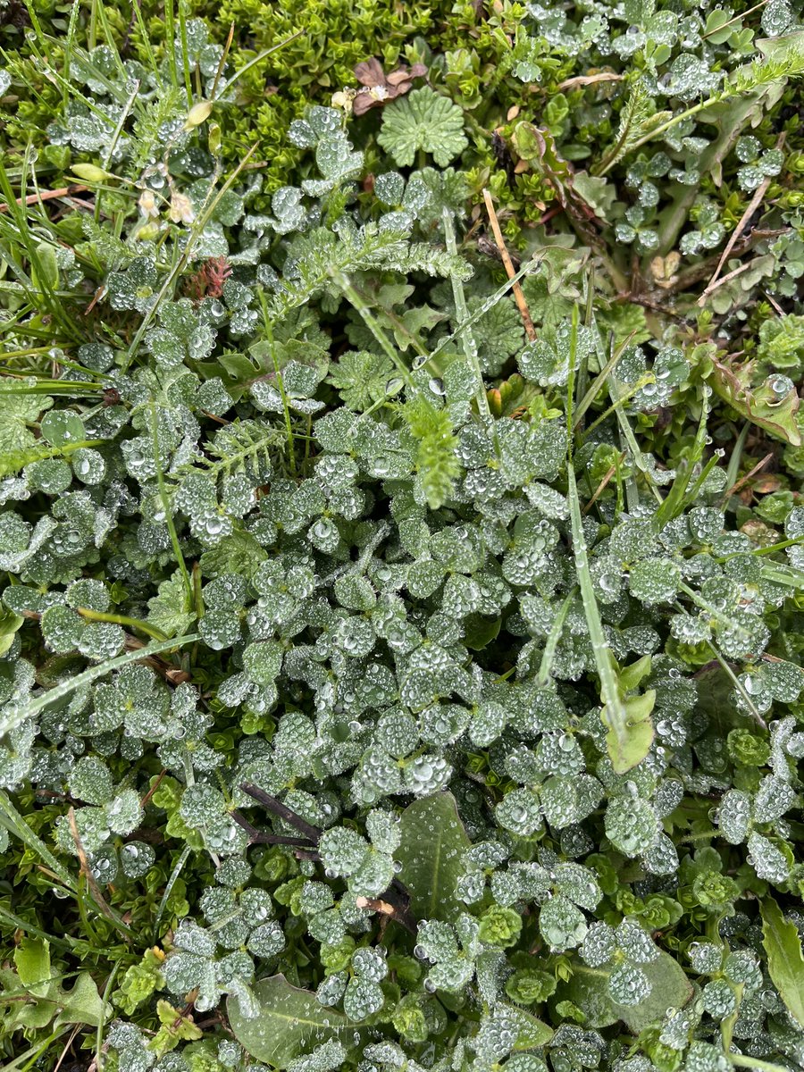 Emma Arnold (@arnoldemmka) on Twitter photo 