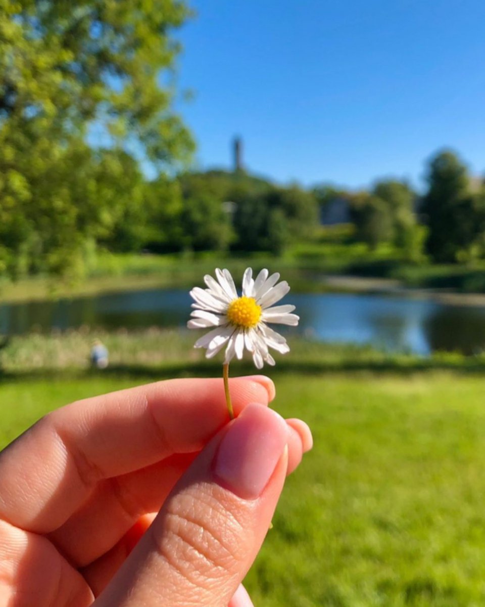 Every accomplishment starts with the decision to try. 💚

📸 Awesome photo by .<a href="/msamandablue/">Amanda</a> #IGStirUni #MondayMotivation