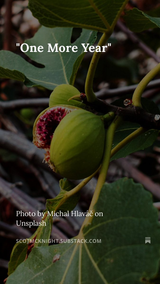 open.substack.com/pub/scotmcknig…