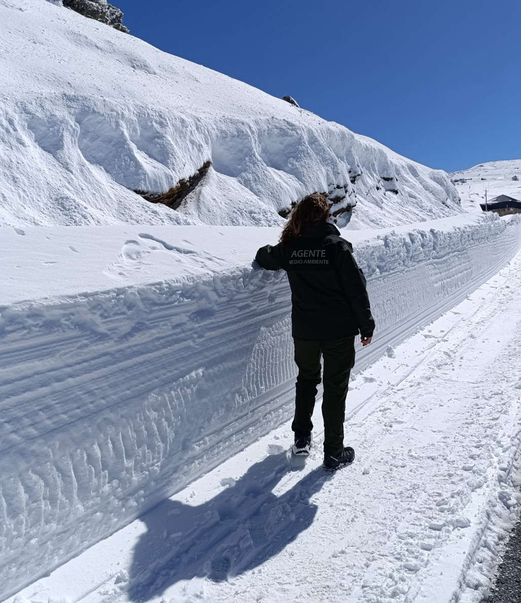 AAMM_And's tweet photo. ❄️🏔️ ¡En Sierra Nevada se han acumulado importantes espesores de nieve! Los @AAMM_And estamos desplegados en diferentes zonas para informar a los visitantes sobre la situación y garantizar un acceso seguro. 🌿 Disfruta de la montaña con responsabilidad. 
#SierraNevada #MAmbiente https://t.co/XYqefbbWyP
