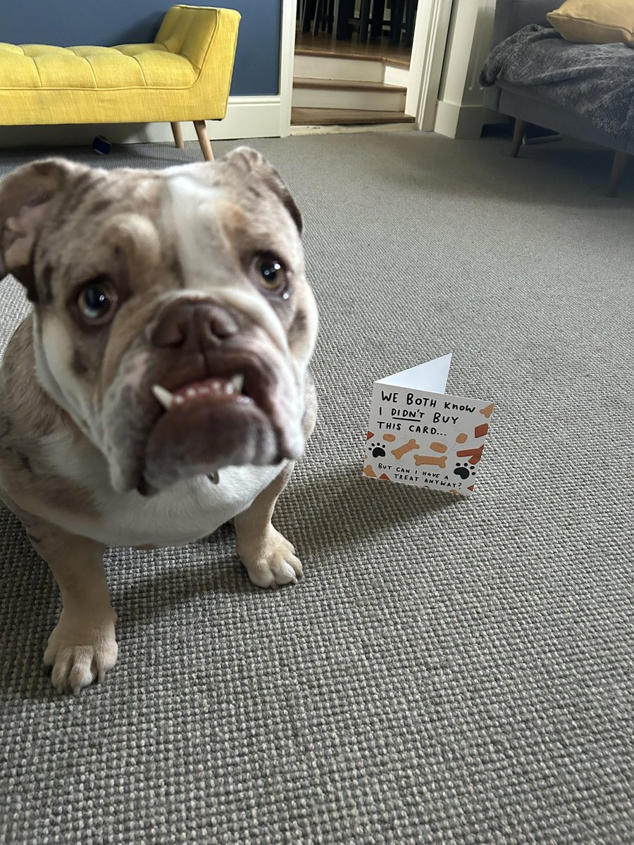 My first Birthday card this morning.