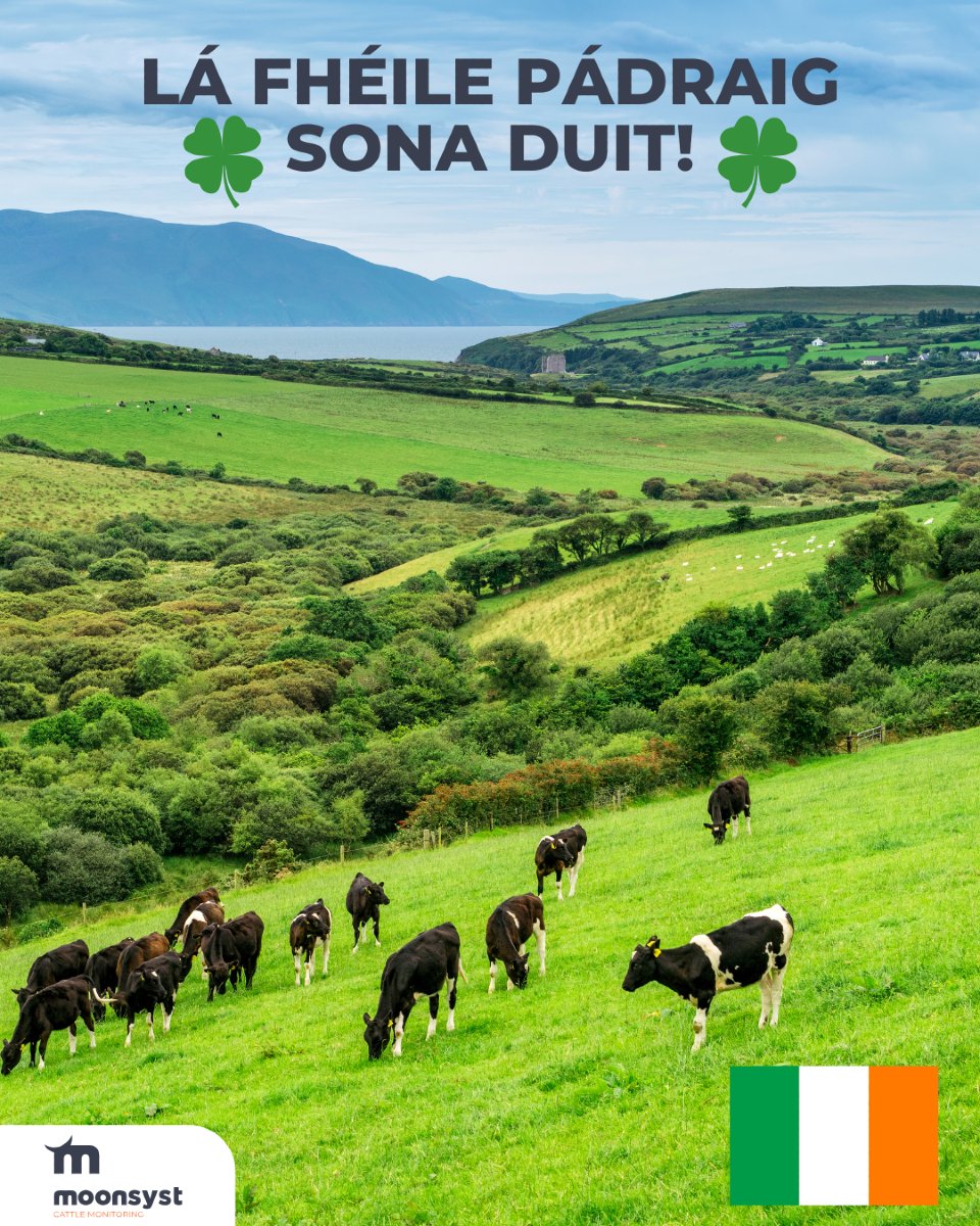 Happy St. Patrick’s Day to all of our customers and team 🇮🇪☘️

#stpatricksday2025 #stpatricksday #farming #agritech