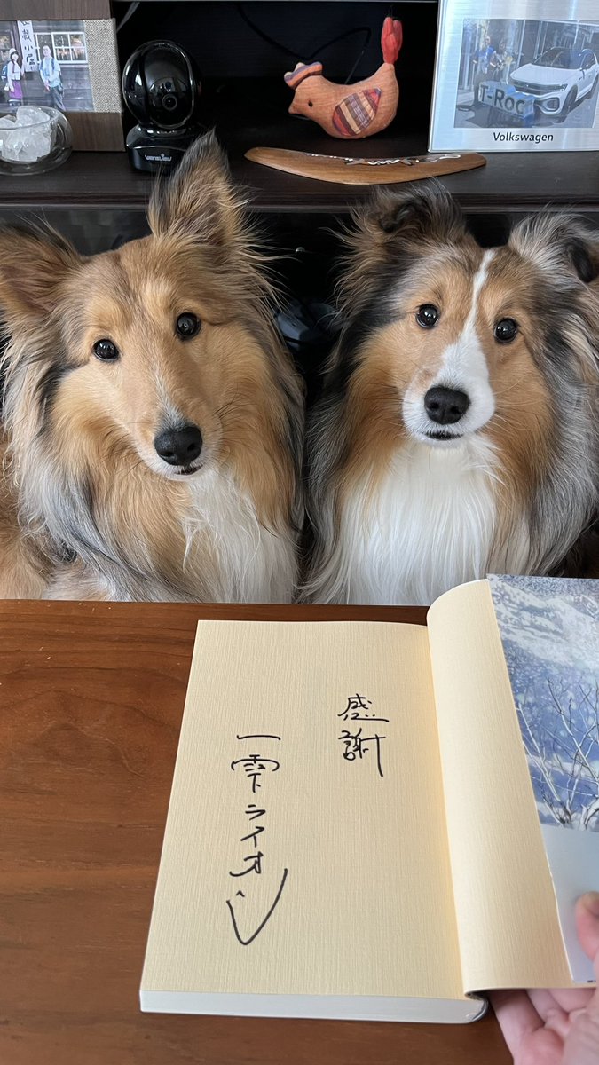 晴耕雨読こそすべて。 (@m2021spring) on Twitter photo ついに‼️お迎え出来ました🙌
設定、装画、タイトル全て好みだなぁ…🥺
と発売日から気になっていた一冊📚✨
初✨一雫ライオン先生のサイン本✍️
読むのがとても楽しみ☺️
<a href="/cf_wakabadai/">コーチャンフォー若葉台店/東京</a>
#流氷の果て
#一雫ライオン先生
#サイン本
#3歳シェルティ
#白足袋シェルティ
#シェルティ姉弟 ついに‼️お迎え出来ました🙌
設定、装画、タイトル全て好みだなぁ…🥺
と発売日から気になっていた一冊📚✨
初✨一雫ライオン先生のサイン本✍️
読むのがとても楽しみ☺️
<a href="/cf_wakabadai/">コーチャンフォー若葉台店/東京</a>
#流氷の果て
#一雫ライオン先生
#サイン本
#3歳シェルティ
#白足袋シェルティ
#シェルティ姉弟