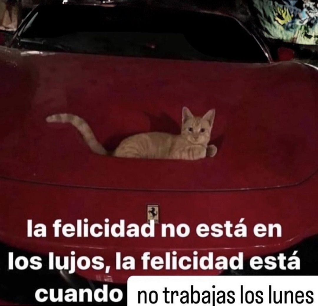 En Júpiter (@en_jupiter_) on Twitter photo 