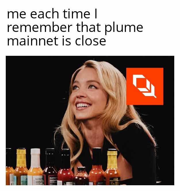 0pal007's tweet image. Big news! @PlumeNetwork&apos;s Mainnet is almost here. Don&apos;t miss out on the new way of social networking. #PlumeNetwork #MainnetLaunch #Gplume #GoonsInControl