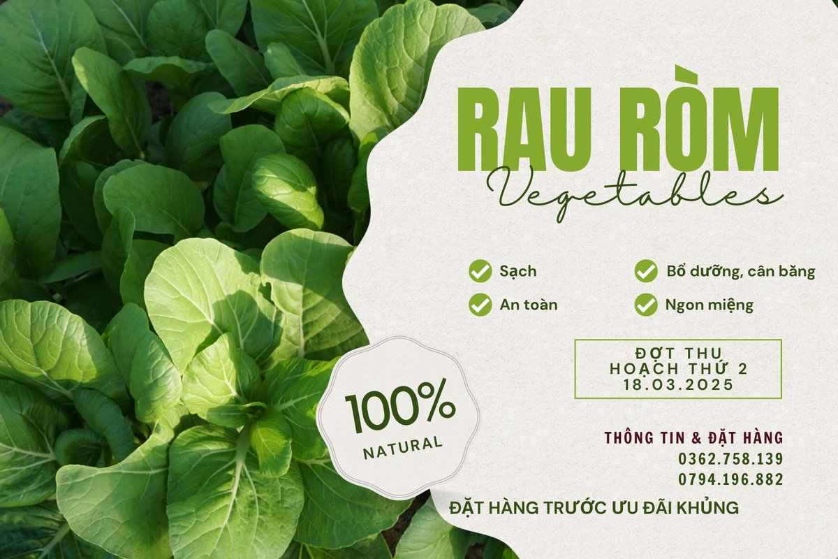 Mecrop_Farming's tweet photo. SIÊU TO KHỔNG LỒ ->Cải mơ Organic
Rau ròm đã có lại tại cữa hàng mình ở Sài Gòn . Mọi người có thể đặt hàng từ hôm nay nhé 🤗
#rausach #raurom #caimoorganic #mecrop #sieuto #khonglo https://t.co/tIl00BDD4L