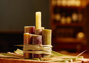 ICE LOLLY 🤩AKA Richmond SUGAR CANE 🇿🇦 A palate cleanser on the menu at multi-award winning The LivingRoom located in Durban, KZN 🌴☀️🇿🇦 restaurants.co.za/the-livingroom… #Durban #Foodie