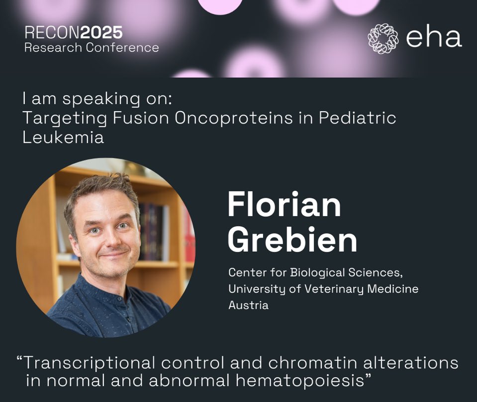 Florian Grebien (@florian_grebien) on Twitter photo En route to Malaga for the <a href="/EHA_Hematology/">European Hematology Association</a> #ReCon2025. Excited to present recent work from the #grebienlab on targeting fusion oncoproteins in #AML 🇪🇸 🩸<a href="/VetmeduniVienna/">Vetmeduni</a> <a href="/StAnna_CCRI/">St. Anna Children's Cancer Research Institute CCRI</a> <a href="/CeMM_News/">CeMM</a> En route to Malaga for the <a href="/EHA_Hematology/">European Hematology Association</a> #ReCon2025. Excited to present recent work from the #grebienlab on targeting fusion oncoproteins in #AML 🇪🇸 🩸<a href="/VetmeduniVienna/">Vetmeduni</a> <a href="/StAnna_CCRI/">St. Anna Children's Cancer Research Institute CCRI</a> <a href="/CeMM_News/">CeMM</a>