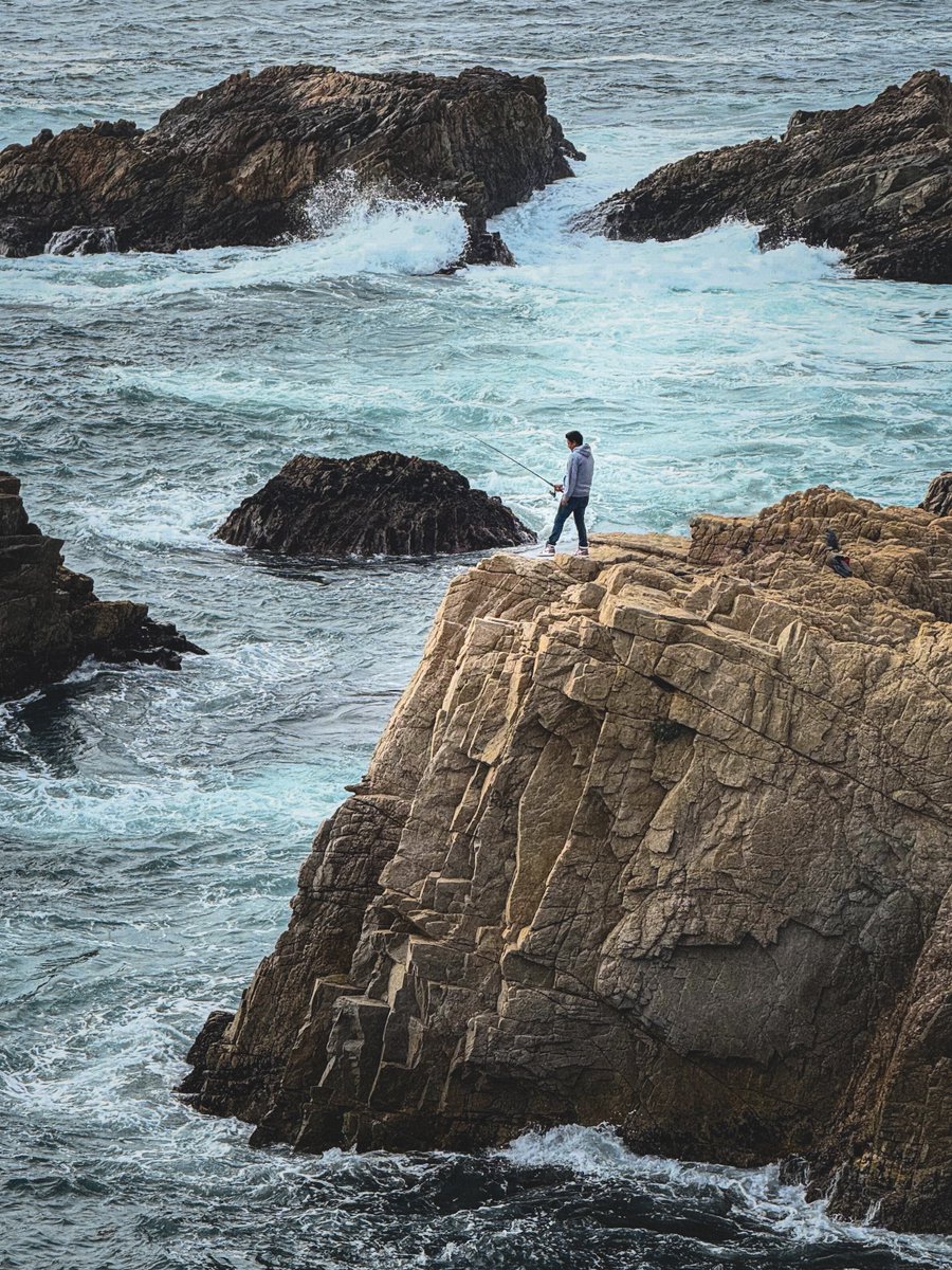 Charlie Chapman tweet media