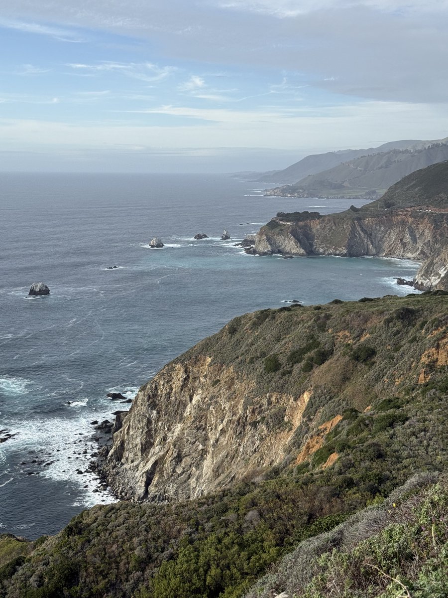 Charlie Chapman tweet media