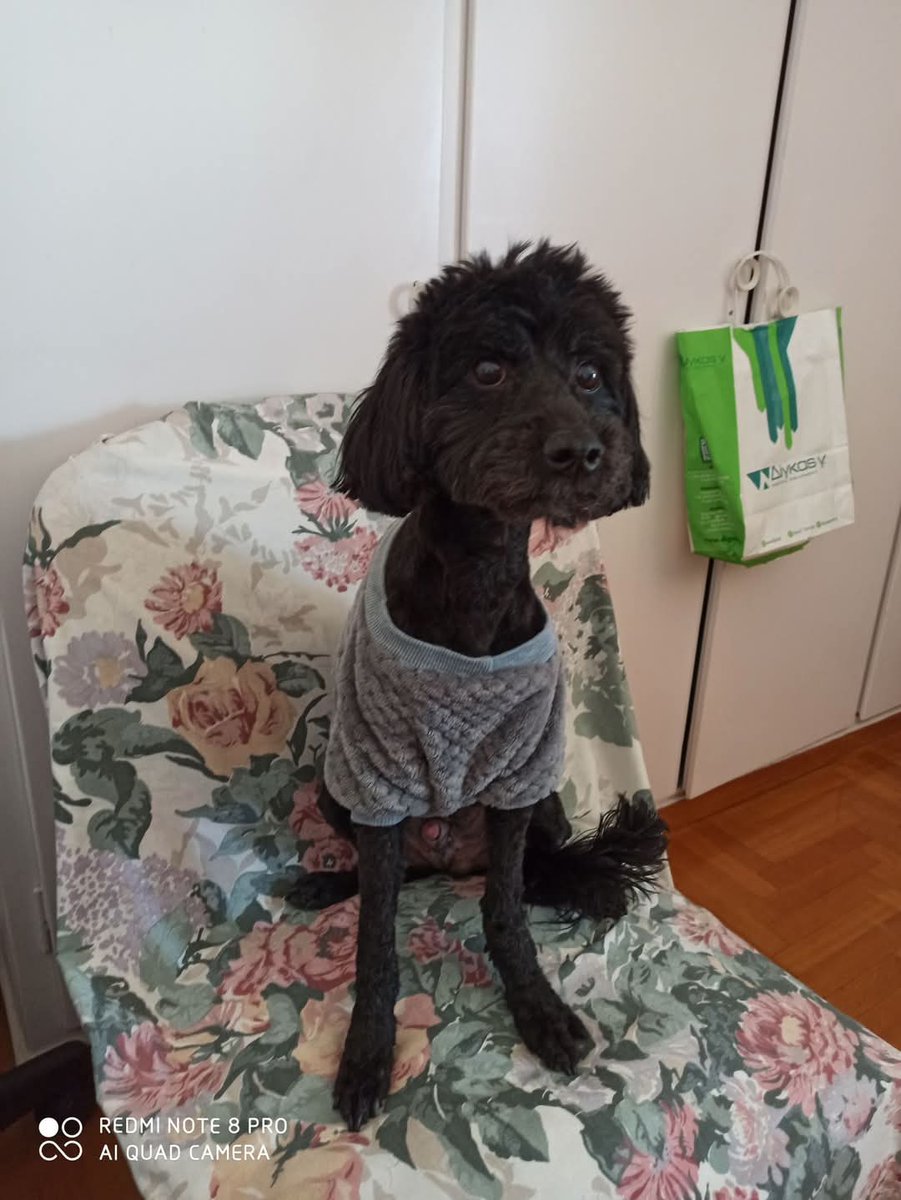 Christinaliroudia tweet media