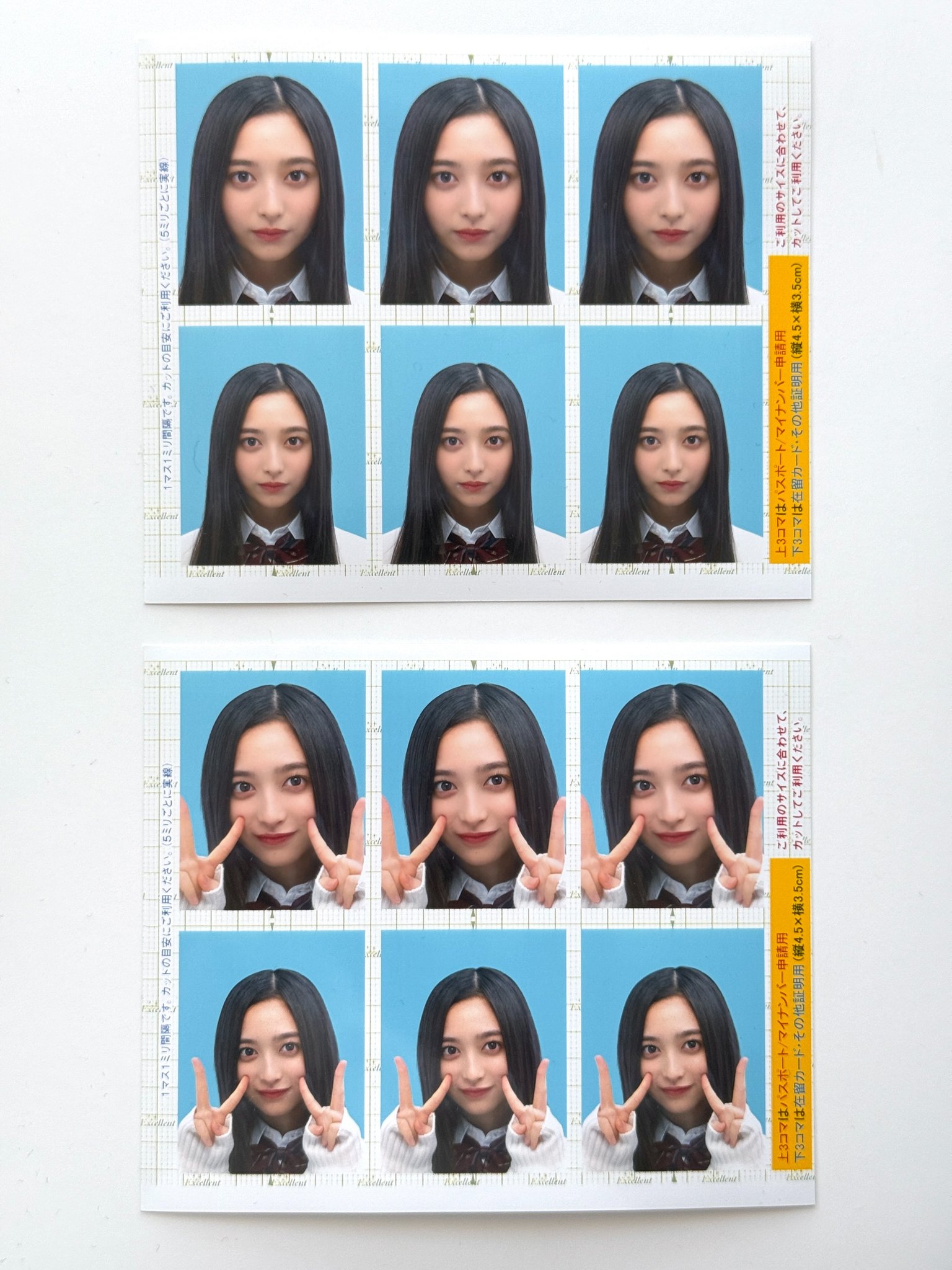 井上和　乃木坂46 13th バスラ　個別フォトカード 乃木坂46 13thバスラ フォトカード 非売品 井上和 - メルカリ