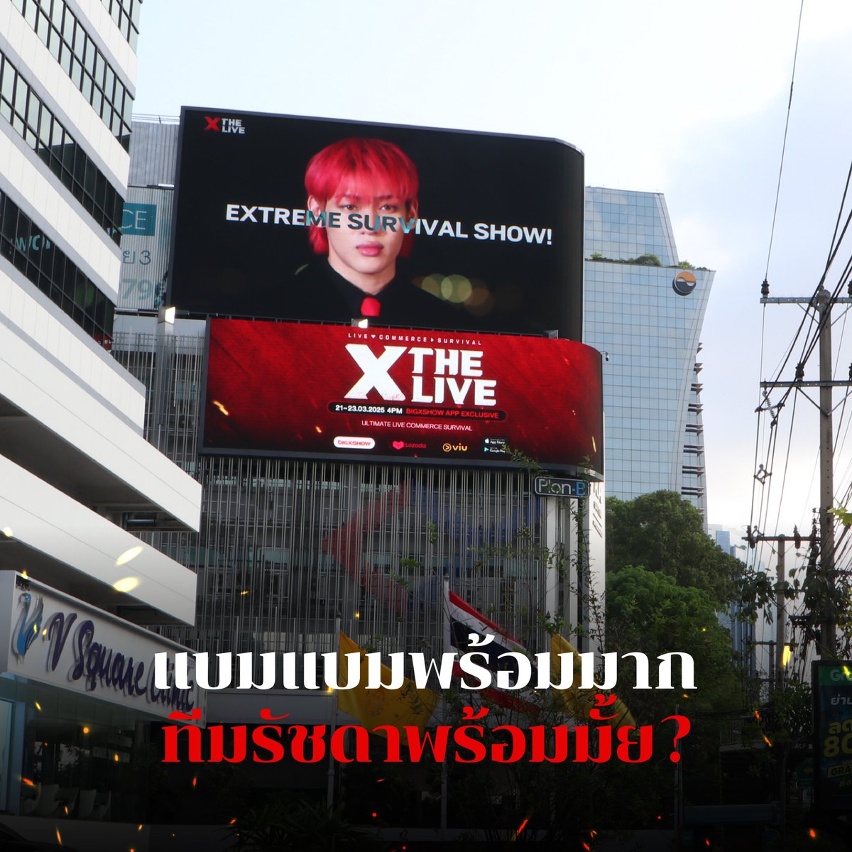 Bigxshow's tweet photo. 😎🔥บิลบอร์ด X The Live ครองเมืองแล้ว !
สปอยล์ความเดือดทุกที่! ส่งความดุให้ทุกด้อม🔥

📲โหลดแอป BigxShow รอดูไลฟ์วันที่ 21-23 มี.ค. 68
ได้ที่ https://t.co/367Q8LFY3X

#XTheLive #BigxShow #แอปเดียวจบครบโชว์ช้อป
#XTheLivexBamBam #แบ��แบม #BamBam https://t.co/a6BcOqmuuA