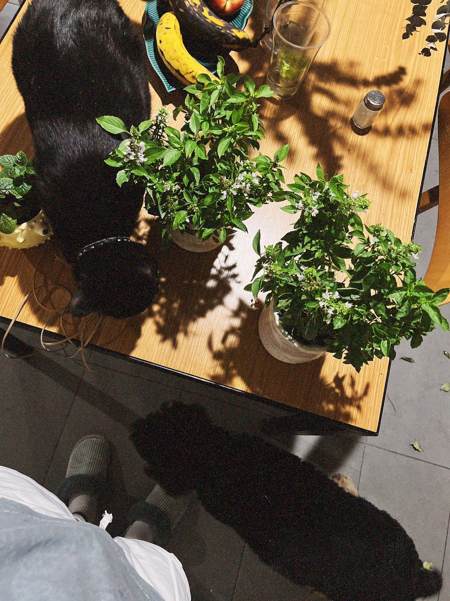 Stream 2
00:27:20 Mi vida.