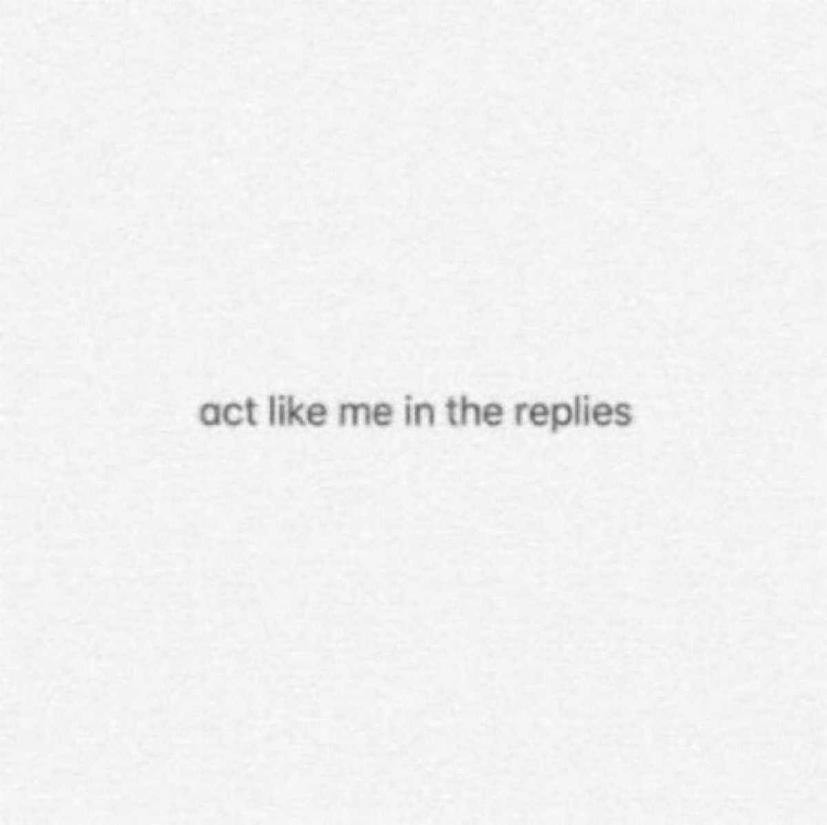 bear .ᐟ tweet media