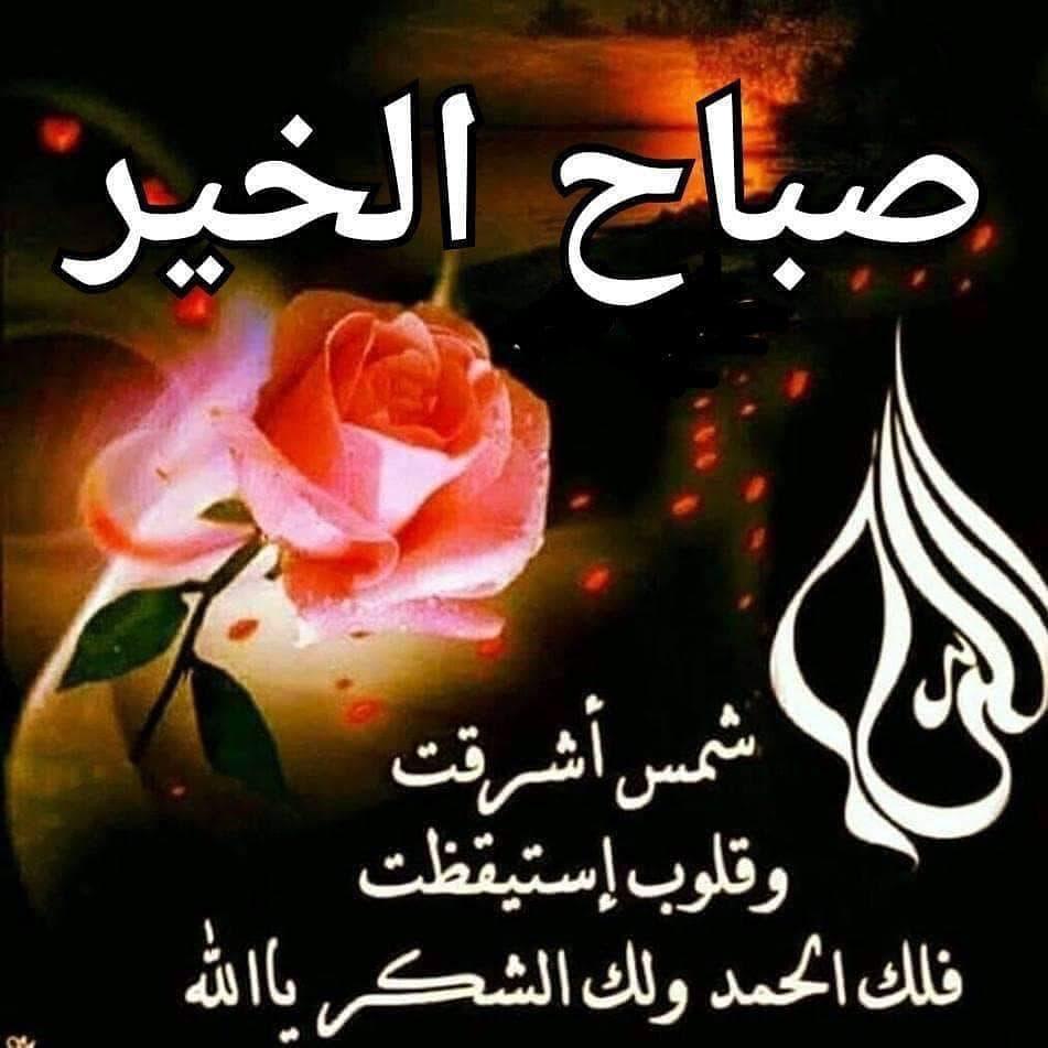 صباح الخير أحبابي 🌹🌛🌹