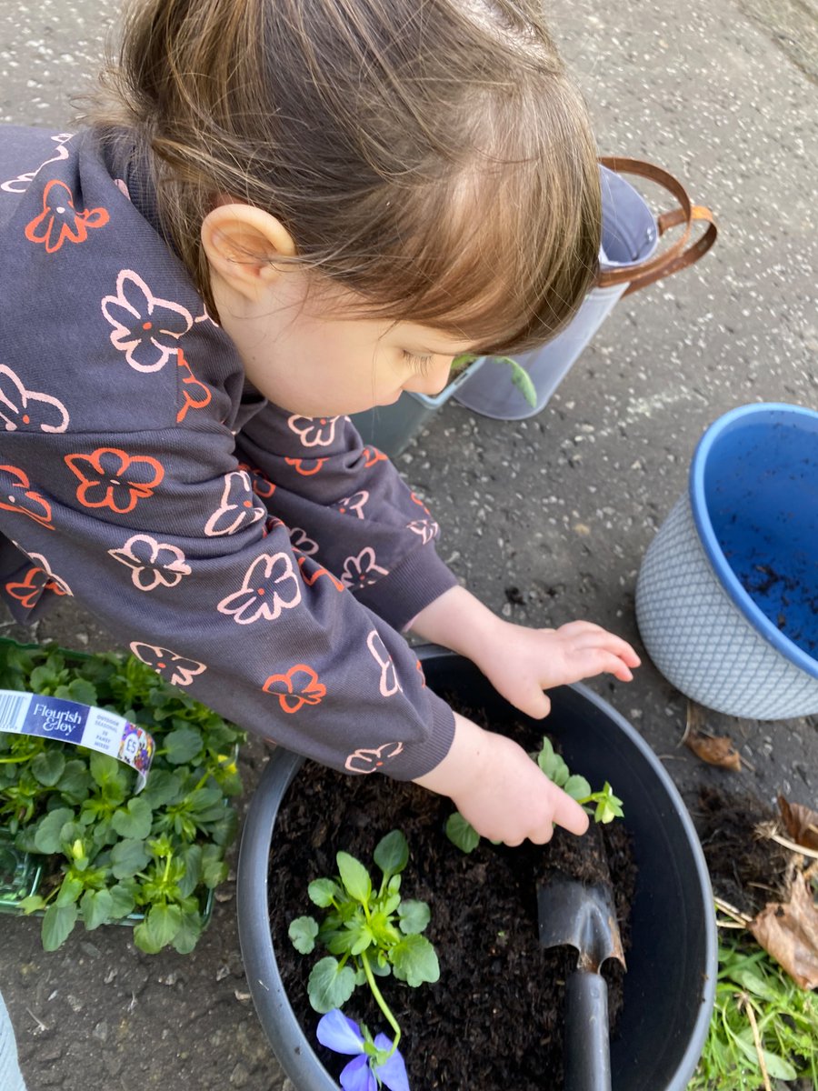 Lisa Kane tweet media