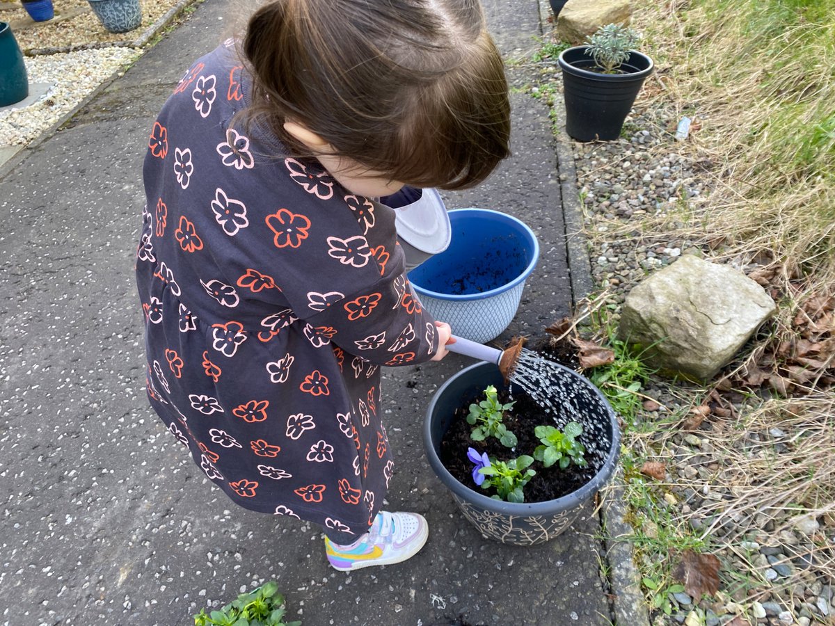 Lisa Kane tweet media