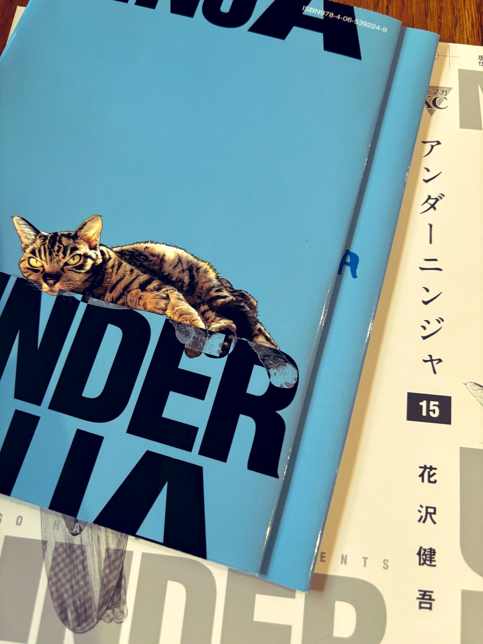 アンダーニンジャ 1巻〜15巻 Amazon.co.jp: アンダーニンジャ(1) (ヤングマガジンコミックス