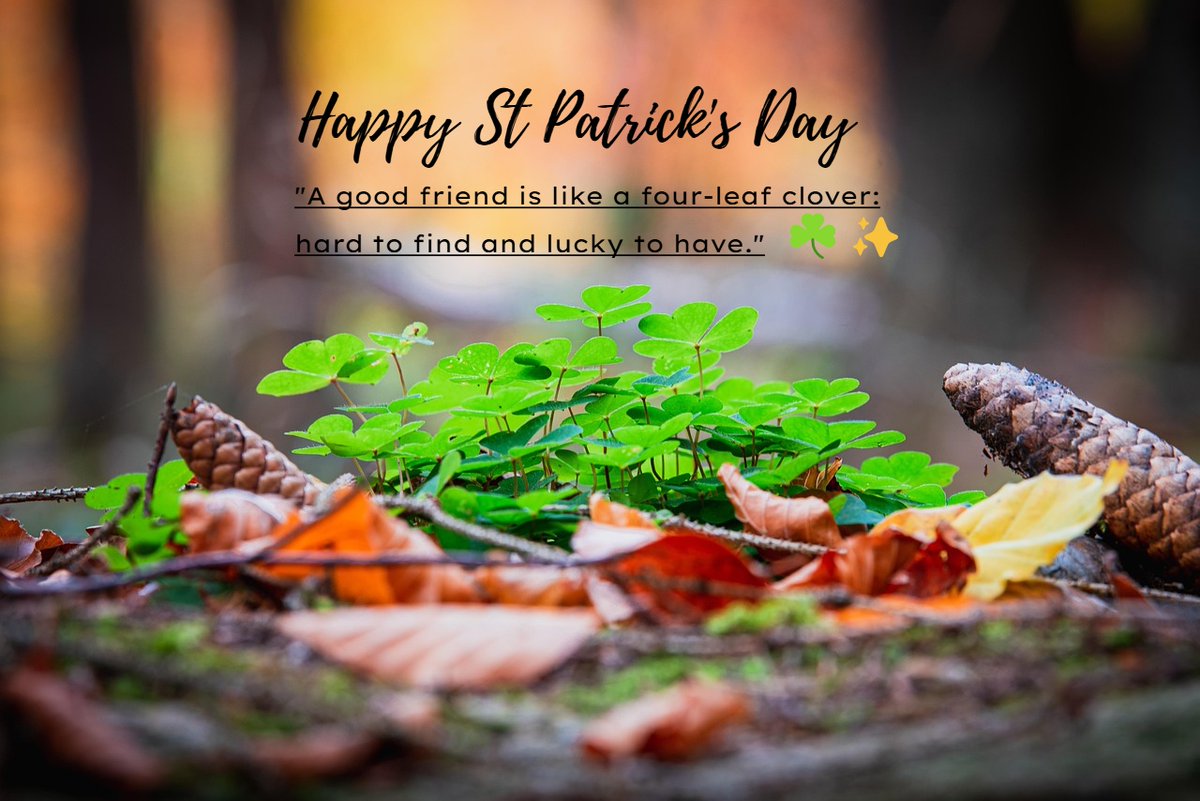 🍀 Happy St. Patrick’s Day! 🍀

"A good friend is like a four-leaf clover: hard to find and lucky to have." 💚✨

Wishing you the luck of the season, the joy of good company, and moments that make you smile. May a little extra magic find you today! ☘️

#StPatricksDay