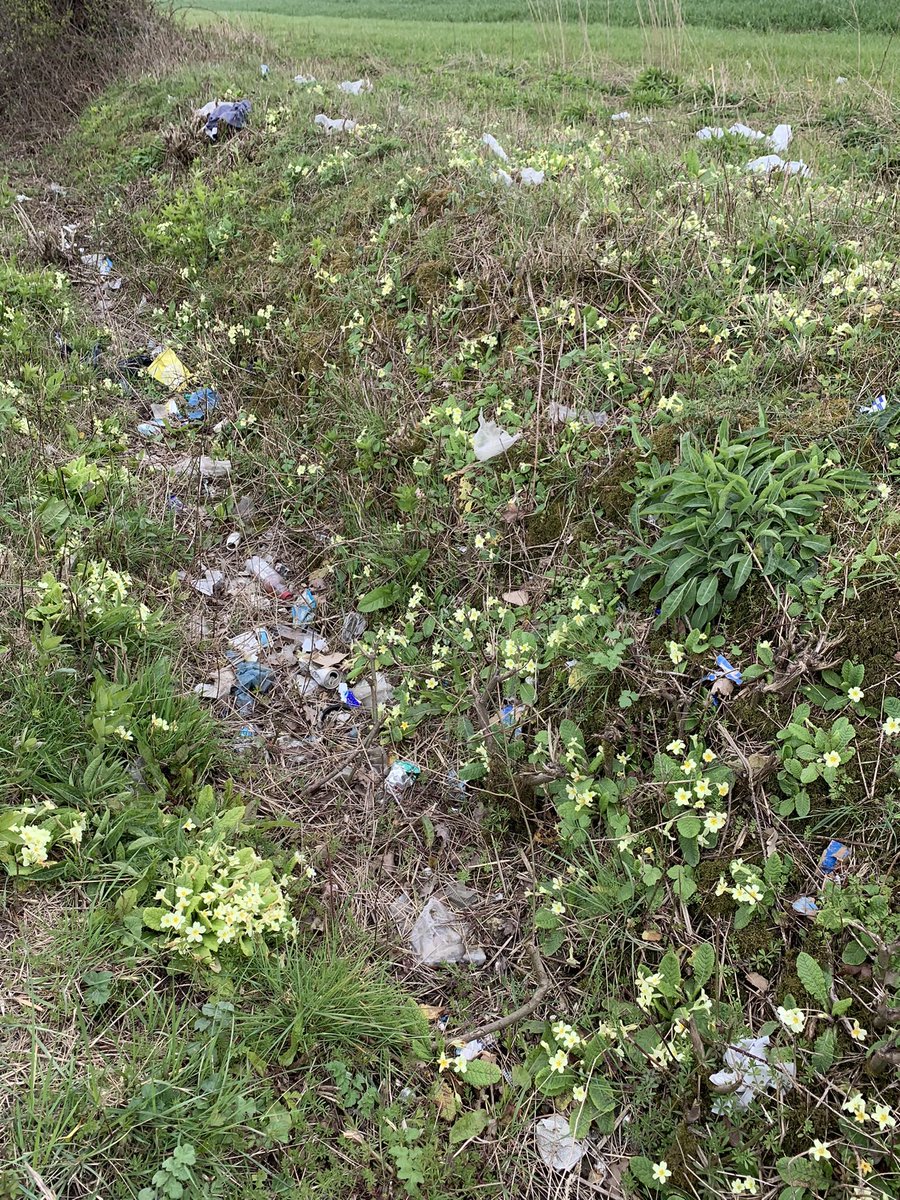 Russell ChalkStreamsInCrisis 🦇🦎🦇🦎 (@russellb1ggs) on Twitter photo 🏴2025 A country once renowned around the🌍for its Bootiful countryside quaint villages babbling brooks & once litter free countryside <a href="/cleanupbritain/">Clean Up Britain</a> There’s literally no where I go that’s not trashed with rubbish🤬 🏴2025 A country once renowned around the🌍for its Bootiful countryside quaint villages babbling brooks & once litter free countryside <a href="/cleanupbritain/">Clean Up Britain</a> There’s literally no where I go that’s not trashed with rubbish🤬