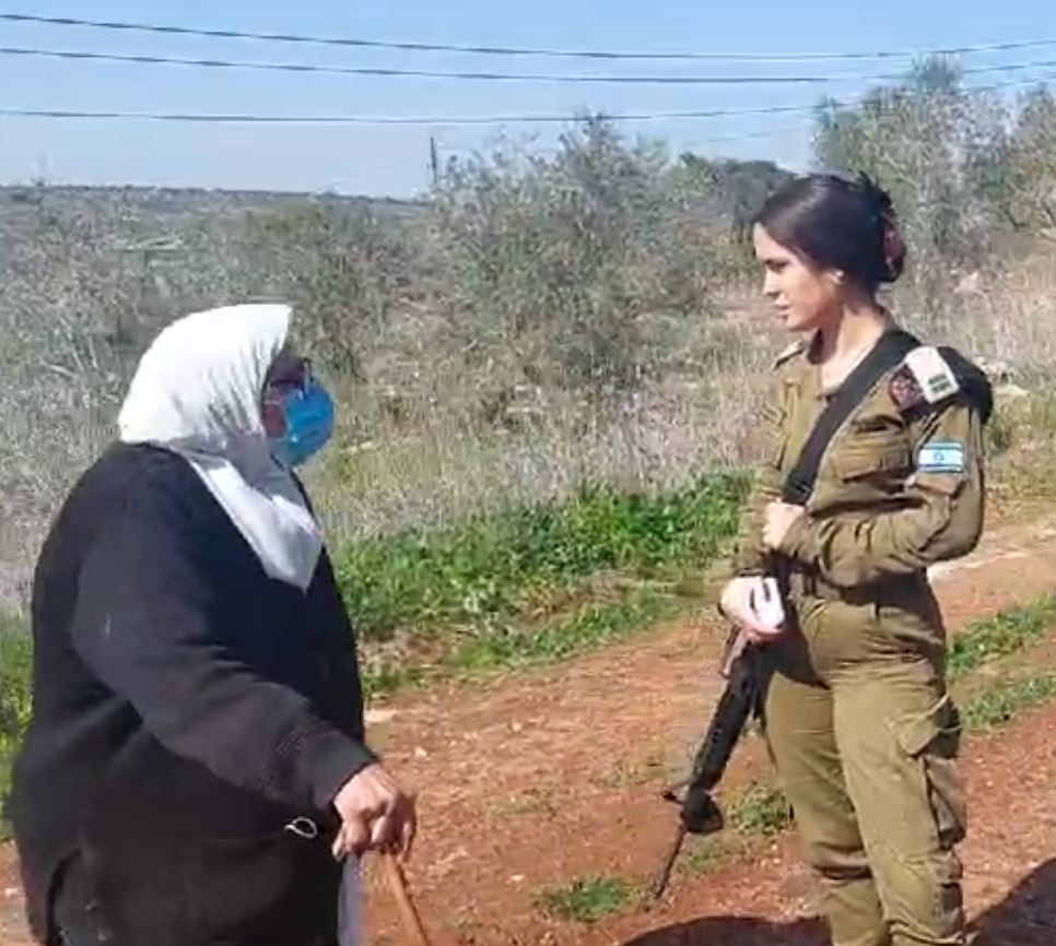 EngagedDharmaIL's tweet photo. 1/5 טל כותבת מיום שבת האחרון
חארס:
כרם הזיתים של אישה מבוגרת מהכפר חארס נמצא ממש למרגלות ההתנחלות רבבה.היא בת 71, ההליכה לשם מעייפת, אין דרך שהיא יכולה להגיע דרכה וההליכה לא פשוטה לה, היא הולכת עם מקל. חום נוראי, צום רמדאן והיא יורדת בין הסלעים כדי להגיע אל הכרם שלה. אנחנו אחריה. https://t.co/mtdouCJo92