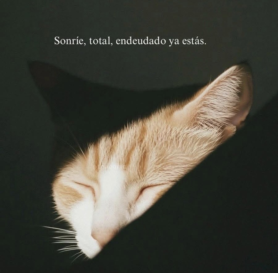 En Júpiter (@en_jupiter_) on Twitter photo 