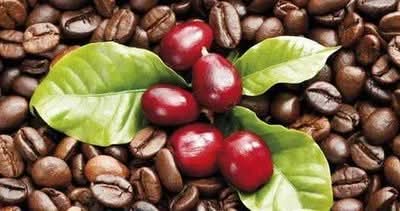 MingalaNews's tweet image. ယမန်နှစ်တွင် ယူနန်ပြည်နယ်၏ လယ်ယာထွက်ကုန်တင်ပို့မှုသည် ယွမ် ၁၉ ဒသမ ၁၇ ဘီလီယံအထိ ရောက်ရှိခဲ့ပြီး လတ်ဆတ်သောပန်းပွင့်များ၊ ကော်ဖီနှင့် ဆေးရွက်ကြီး တင်ပို့မှုမှာ နိုင်ငံအတွင်း ပထမအဆင့်ဖြစ်ပါတယ်။
#ImportandExportTrade #AgriculturalProducts #Yunnan