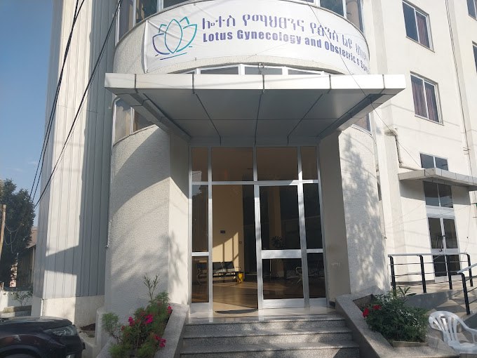 Orbit Health tweet media