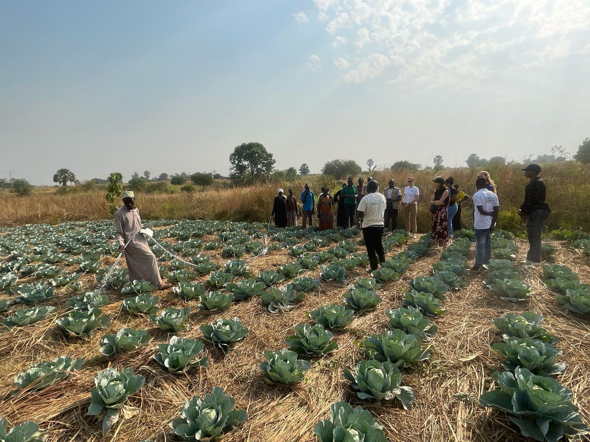 🌍 We recently hosted GPA, NORCAP &amp; THEA at our Clean Energy programs in BidiBidi! The visit highlighted our innovative approaches to sustainability and resilience-building among refugee and host communities. 🔄 Circular economy 🔥 Clean cooking 💧 Solar irrigation: