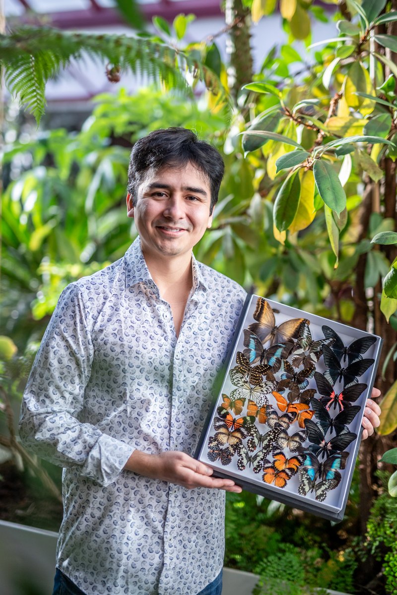 Pável Matos (@pavelmatosm) on Twitter photo In this interview by the A-magazine (Czech Academy of Sciences), I highlighted our latest research on butterfly evolution, ecology, and conservation. Many thanks <a href="/Akademie_ved_CR/">Akademie věd ČR</a>
pdf.avcr.cz/A/2025-01/#pag…
Foto: Jana Plavec, Akademie věd ČR In this interview by the A-magazine (Czech Academy of Sciences), I highlighted our latest research on butterfly evolution, ecology, and conservation. Many thanks <a href="/Akademie_ved_CR/">Akademie věd ČR</a>
pdf.avcr.cz/A/2025-01/#pag…
Foto: Jana Plavec, Akademie věd ČR