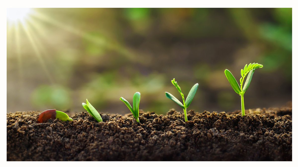 感受性が高い人は「失敗したくない！」と思う気持ちが強いからこそ、慎重になりがち。でも、それって、物事を深く考えられる、すごく素敵な才能！だからこそ、無理に大きな一歩を踏み出さなくてもOK。「ちょっとだけやってみる」→「できた！」を積み重ねることで、少しずつ自信が育っていくよ♪