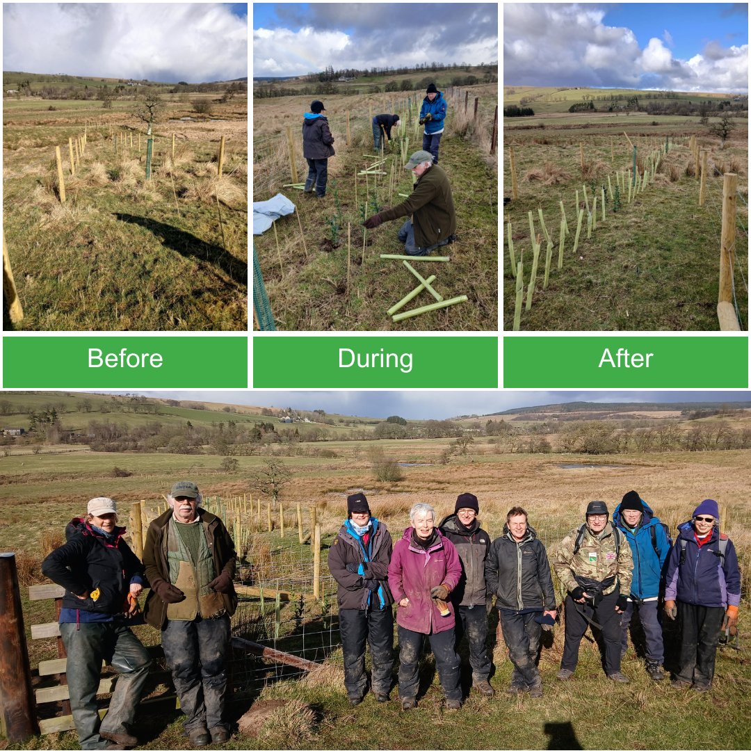 TyneRiversTrust's tweet image. Cracking work by our volunteers - completed a hedgerow at Cragg Estate in West Woodburn - nearly 250m long 💪👏🙌
#volunteering #cleanrivers #riverstrust