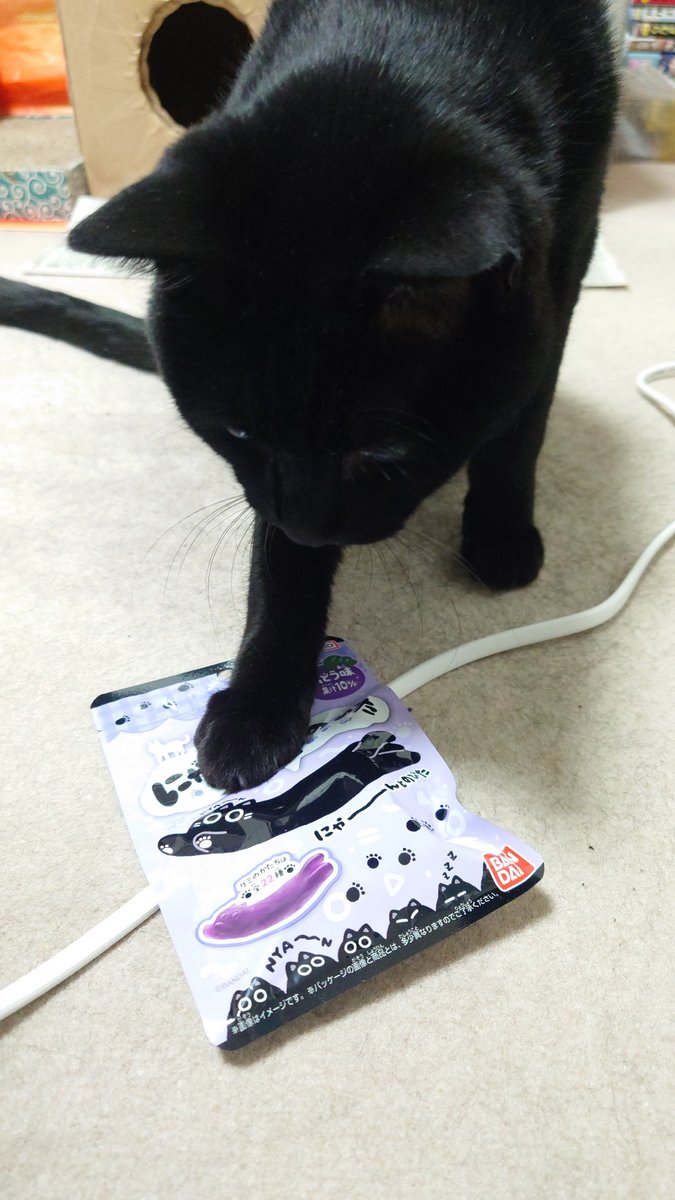 nekonosan1's tweet image. かわいいグミが売ってたので、つい買ってしまった(笑)
#黒猫はいいぞ
#毎日が猫の日