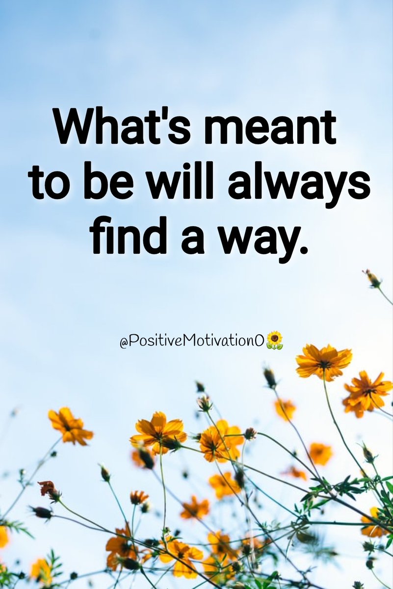 Hayat Motivation🌻 tweet media