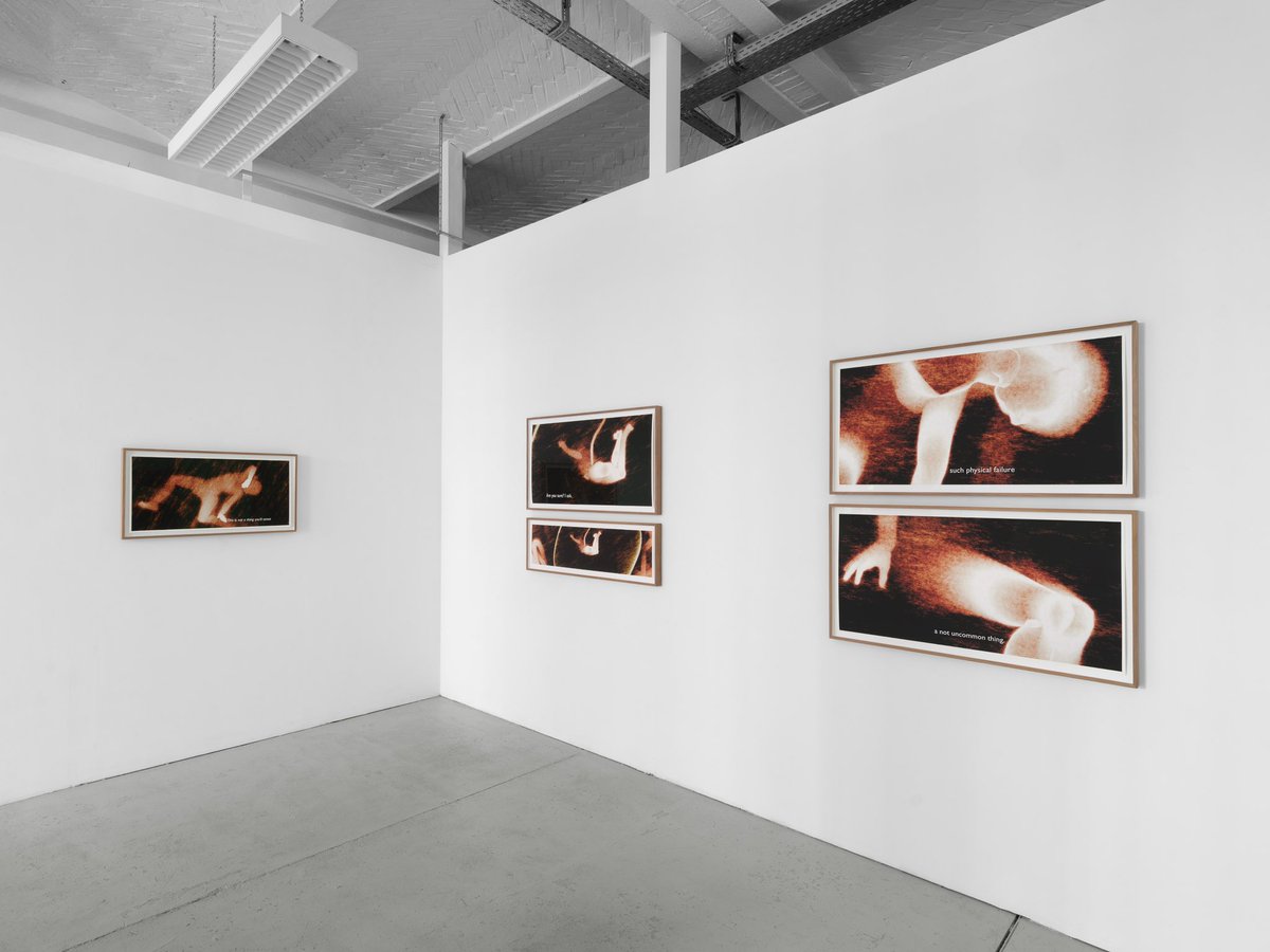 Ana María Caballero tweet media